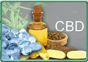 shop cannabis cbd cbn button