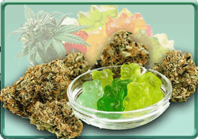 shop cannabis edibles button