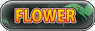 shop cannabis flower button